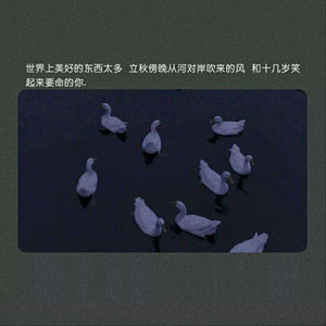 亚洲国产欧美日韩在线一区二
