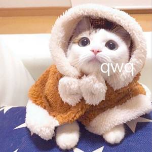 亚洲国产欧美日韩在线一区二
